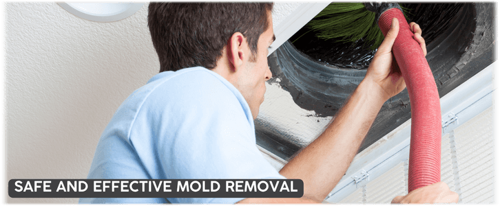 Air Duct Mold Removal in Hialeah