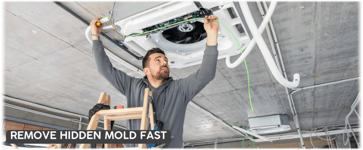 HVAC Mold Removal Hialeah